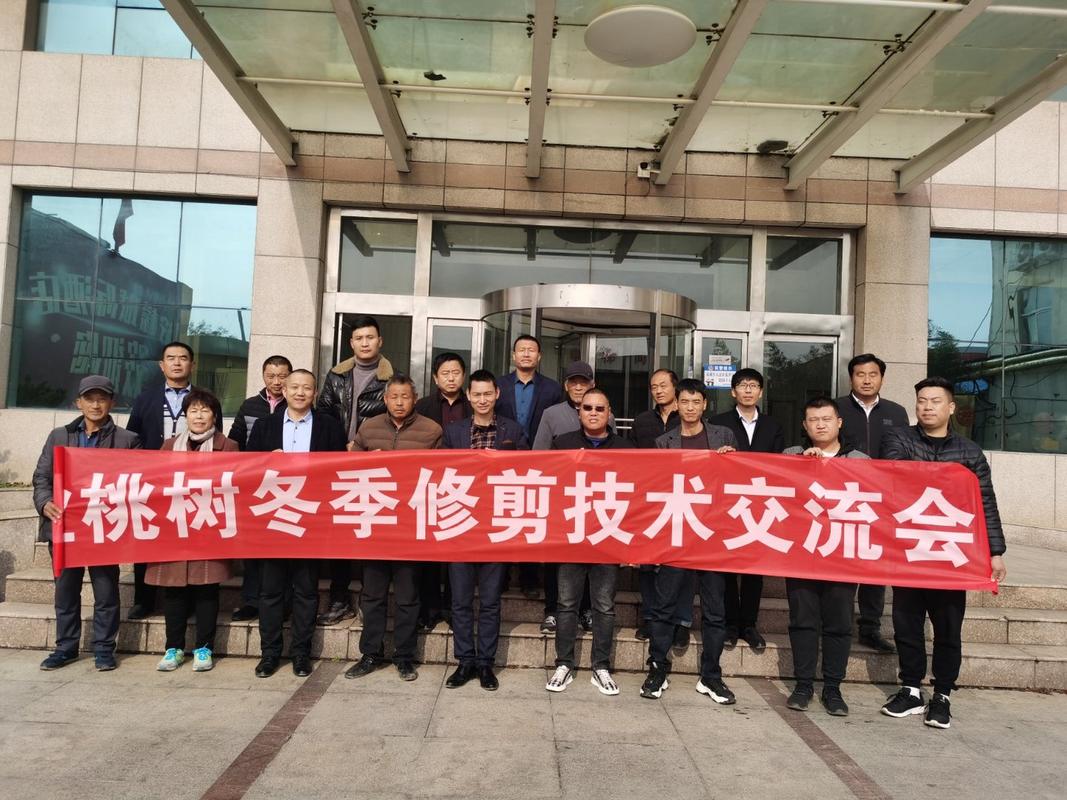 冬日剪刀下的艺术 张家桥冬桃修剪团队技术交流大会侧记
